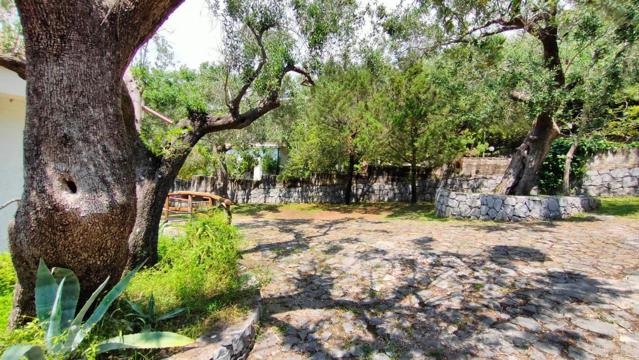 Villa Irma Marina di Camerota Exterior foto