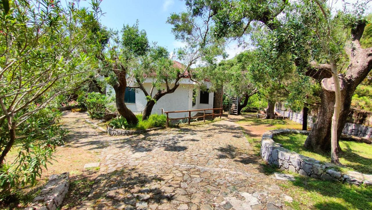 Villa Irma Marina di Camerota Exterior foto