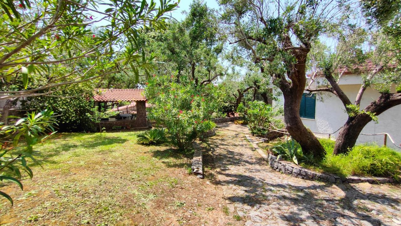 Villa Irma Marina di Camerota Exterior foto