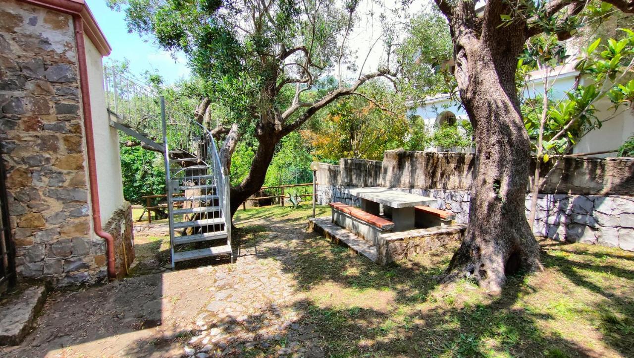 Villa Irma Marina di Camerota Exterior foto