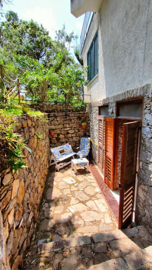 Villa Irma Marina di Camerota Exterior foto